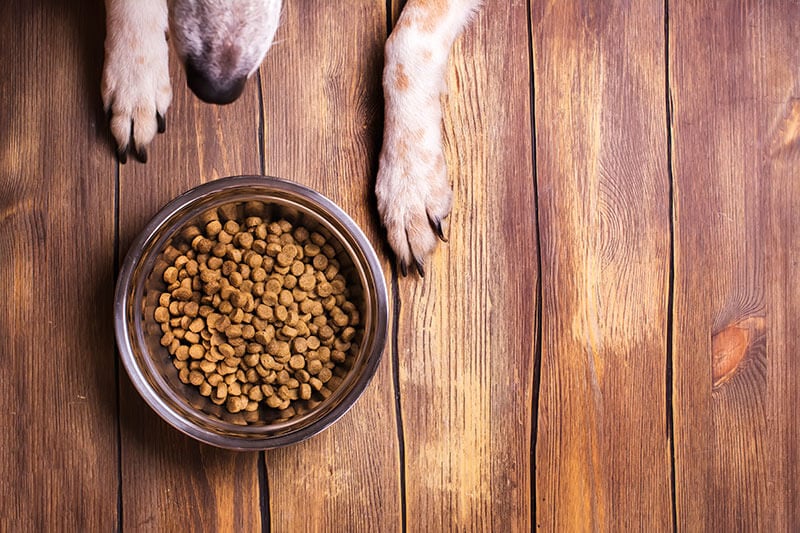 välj rätt hundfoder - läs mer på granngården.se