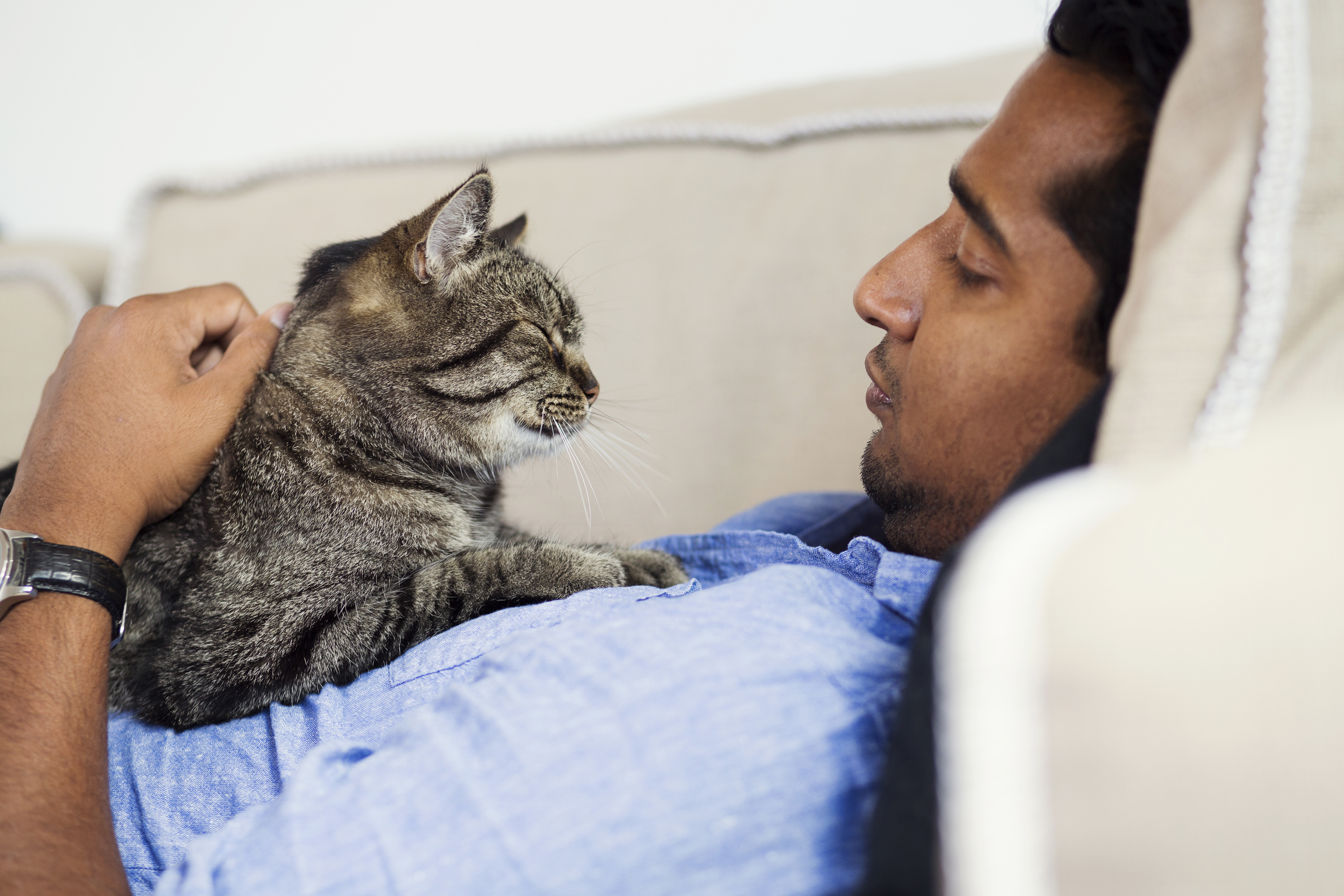 Hemlösa katters vecka på Granngården - läs mer om att adoptera katt på granngården.se